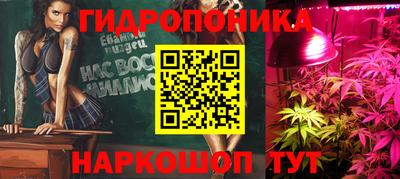 дурь Тара