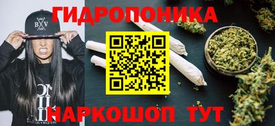 дурь Тара