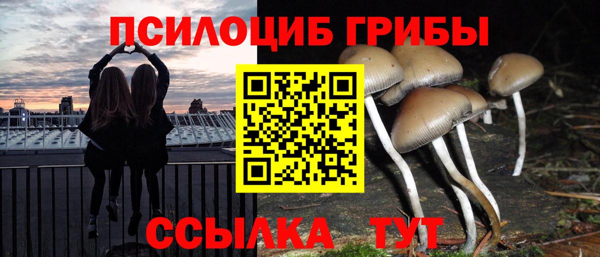 Ногинск  Галлюциногенные грибы прущие грибы  сколько стоит  Вход с VPN 