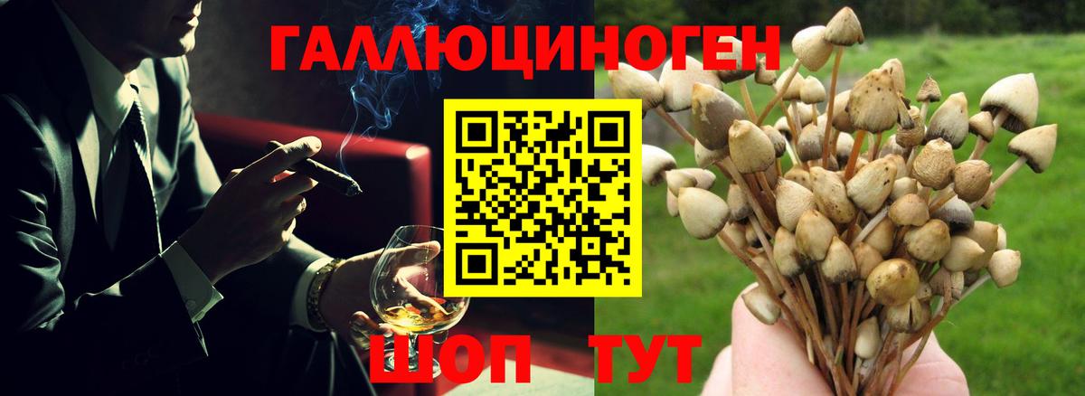 Галлюциногенные грибы ЛСД Ногинск